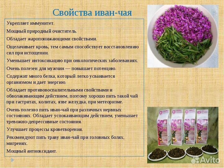 Иван чай