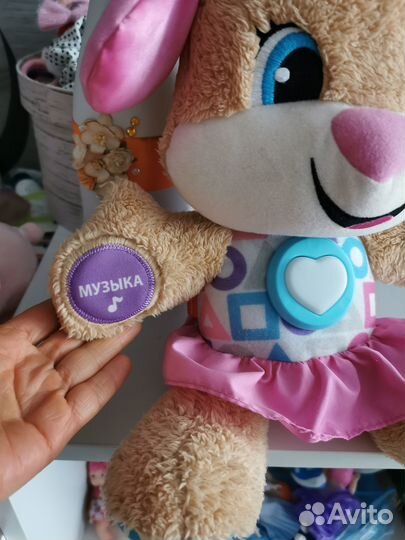 Сестричка ученого щенка