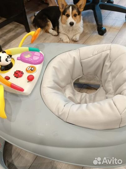 Новые ходунки chicco 3 в 1