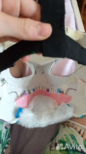 Маска рапторафурсют