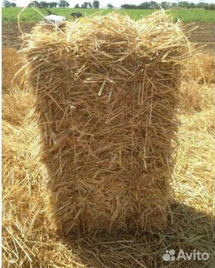 Солома в тюках