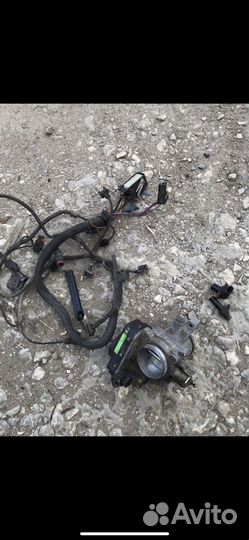 Проводка моторная мерседес м111 с мозгами