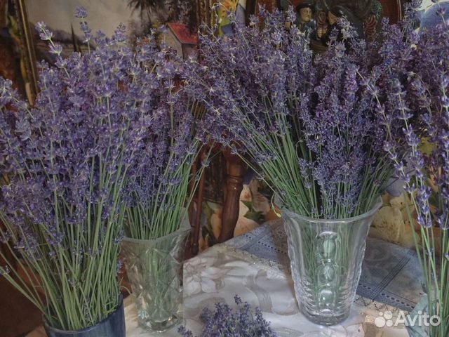 Букет лаванды