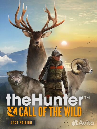 Thehunter call of the wild diamond xbox ключ