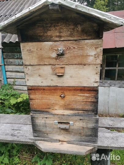 Ульи для пчел