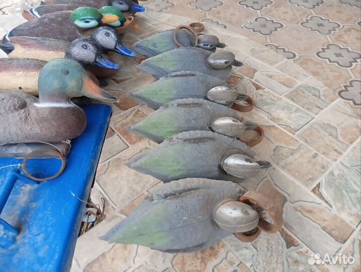 Подсадные утки