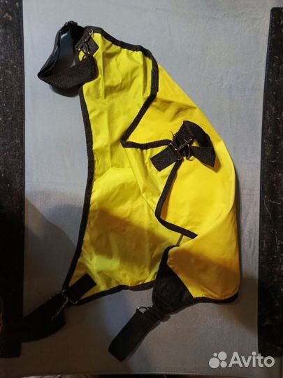 Выставочная палатка