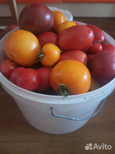 Помидоры домашние