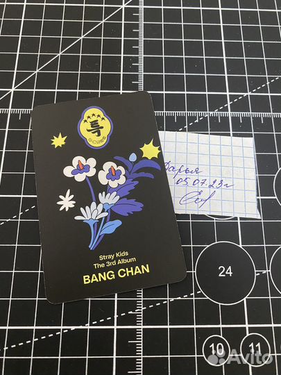 Stray kids 5 star Банчан