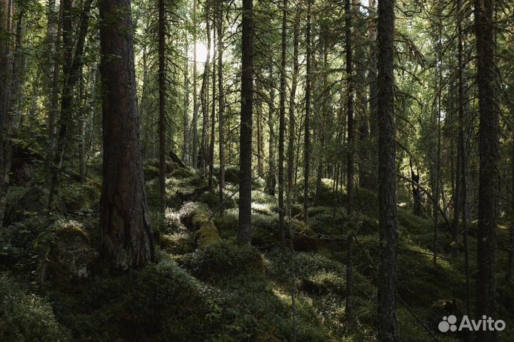 Объектив Sigma AF 35mm f/1.4 DG HSM Art для Canon