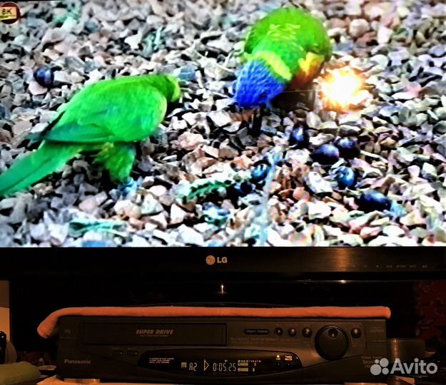 Panasonic NV-HD650 EE Hi-Fi видеомагнитофон 220В