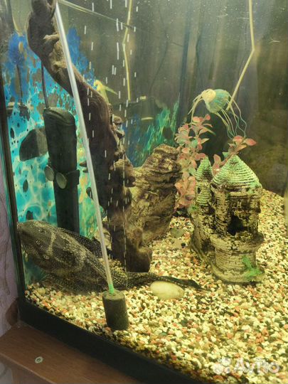 Аквариум с тумбой 180 литров