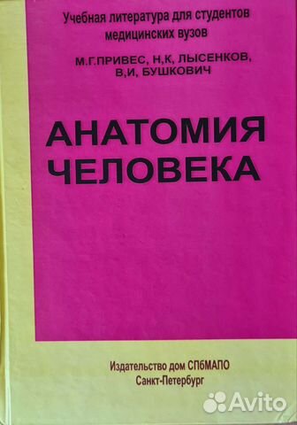 Анатомия человека Привес