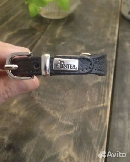 Ошейник для маленькой собаки или кошки