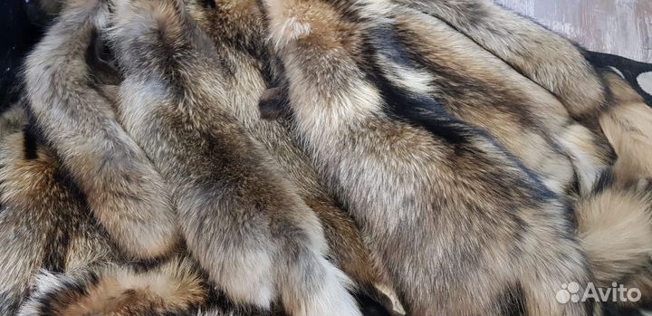 Шкуры енота