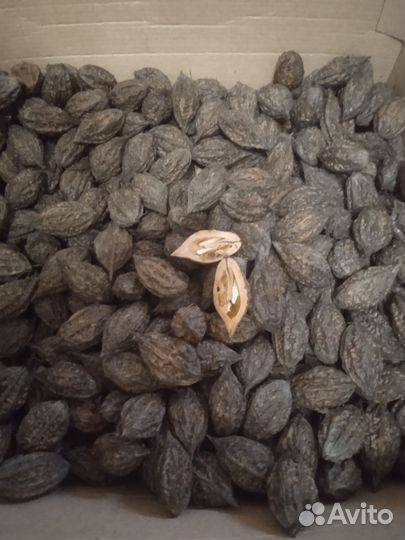 Маньчжурский орех для творчества