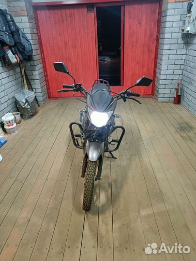 Alpha Rx 50 (125)