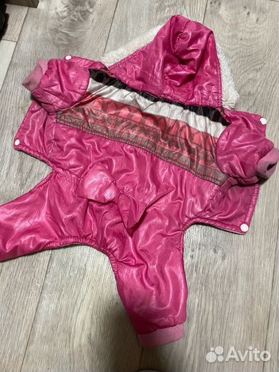 Одежда для собаки