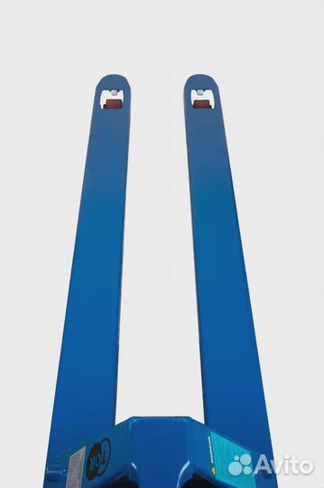 Рохля длинная