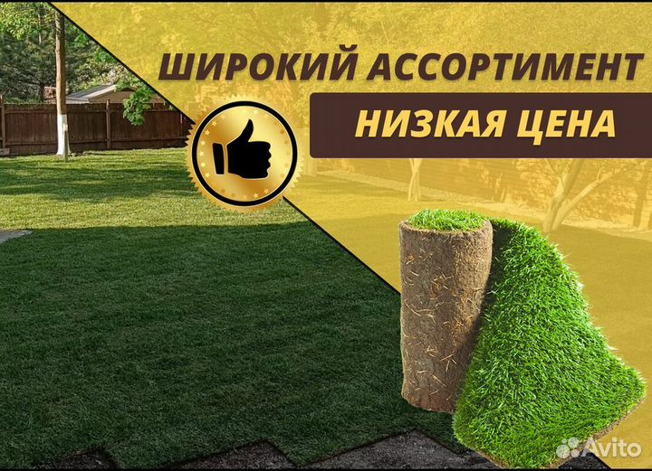Рулонный газон под ключ Стандарт