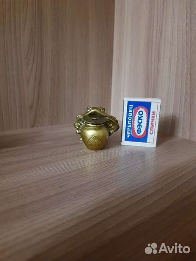 Денежная жаба феншуй с монетой