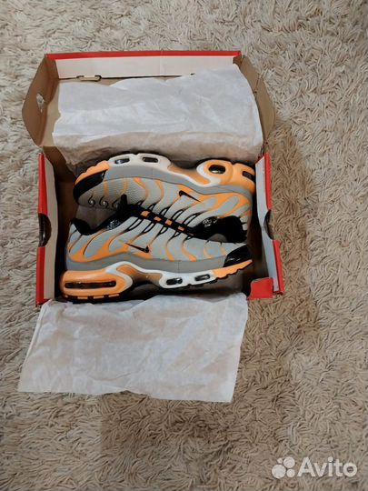 Nike air max TN plus