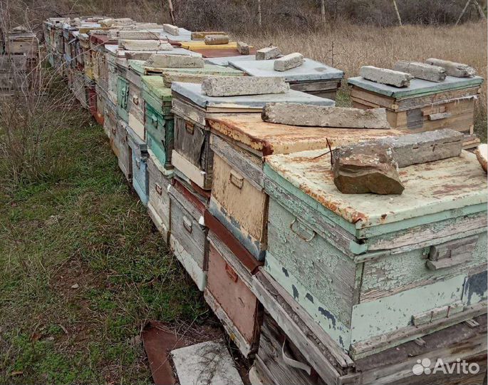 Продается оборудование для пасеки (единый лот)