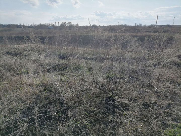 Участок 6 сот. (СНТ, ДНП)