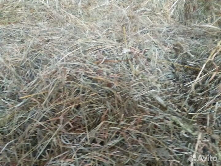 Сено в мешках