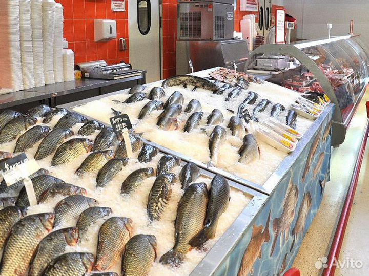 Создайте бизнес с франшизой рыбного магазина