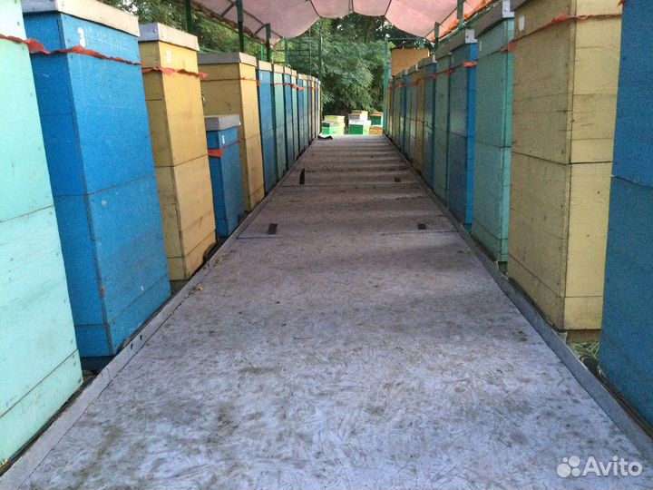 Пчелоприцеп