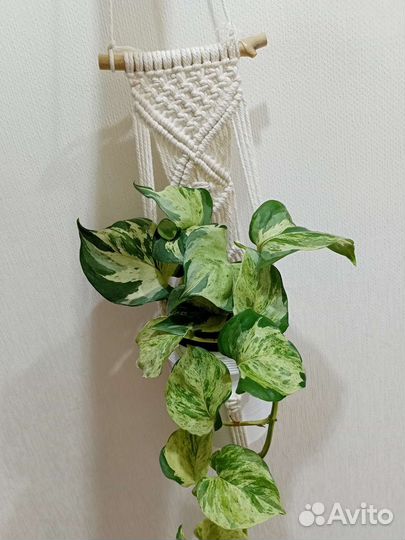 Макраме подвес для растений
