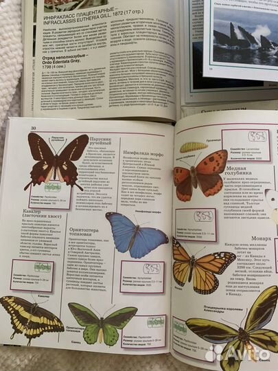 Книги для детей пакетом