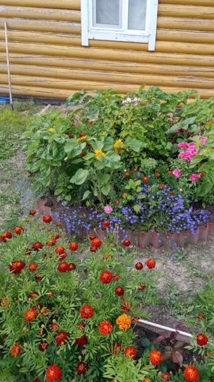 Дом 217 м² на участке 12 сот.