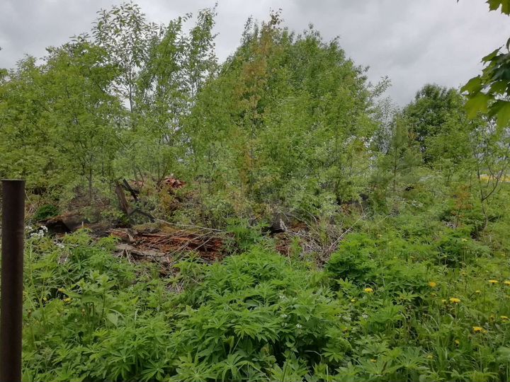 Участок 15 сот. (ИЖС)