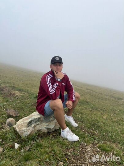 Слушатель собеседник друг на час