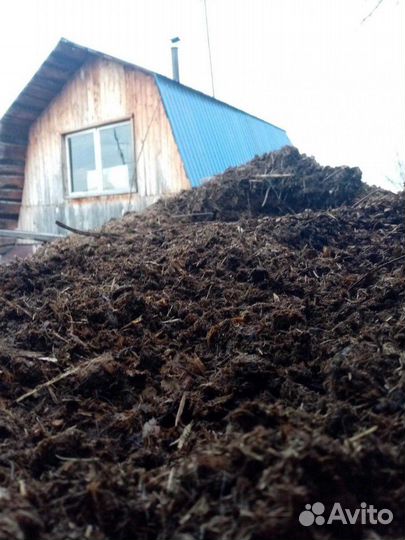 Навоз конский