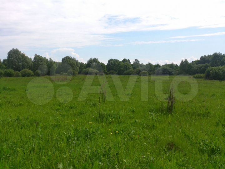 Участок 11 га (СНТ, ДНП)