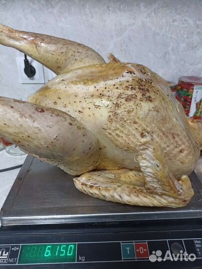 Мясо домашней птицы