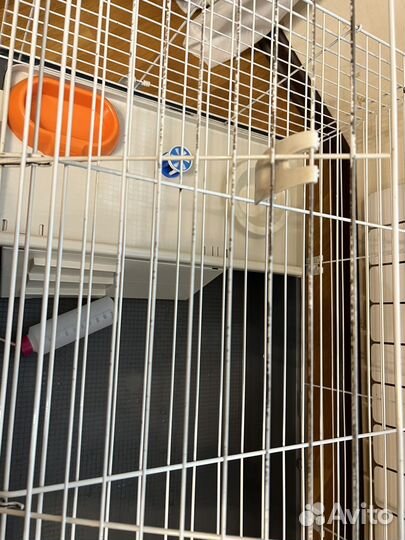 Клетка для грызунов большая