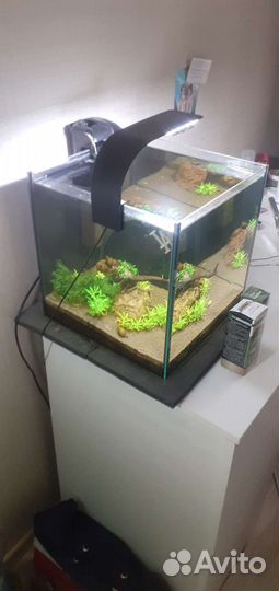 Аквариум