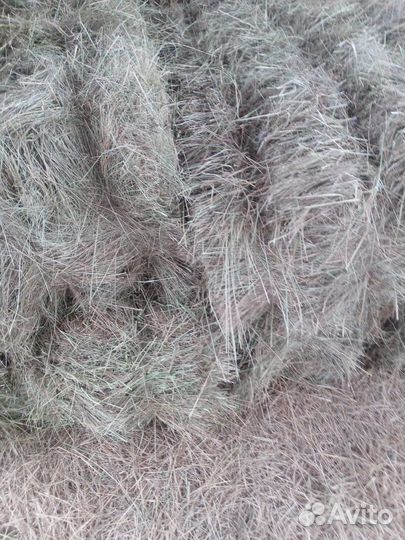 Сено в тюках