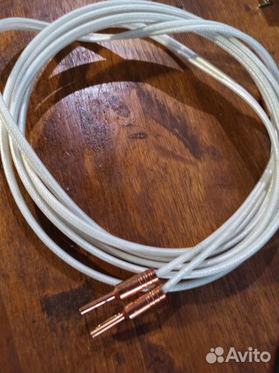 Silver anniversary xt spofc x tube technology