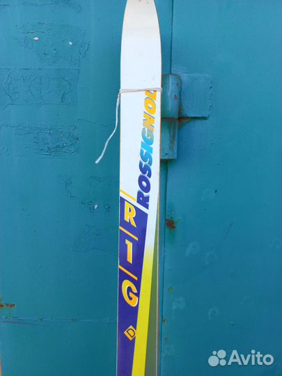 Лыжи горные