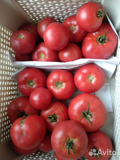 Розовые супер-помидоры