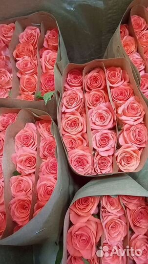 Цветы оптом/Розы оптом и в розницу