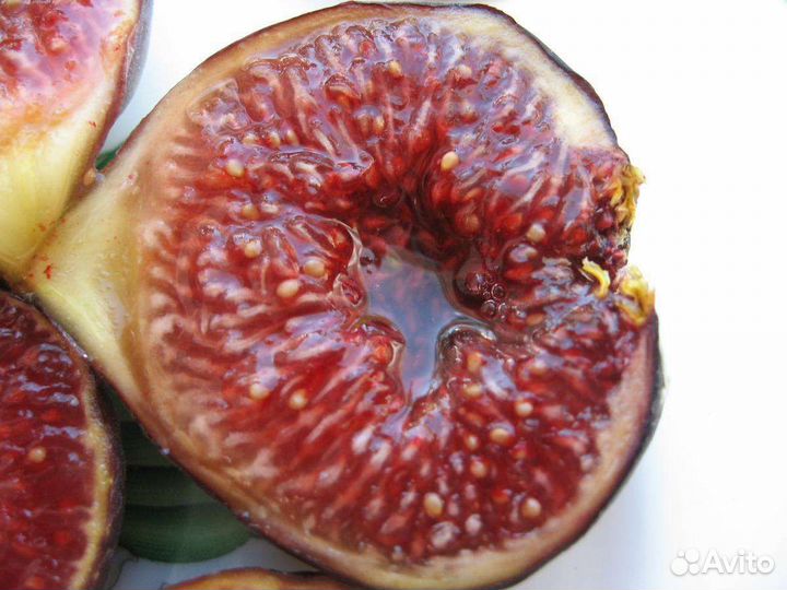 Замороженное пюре Инжир 1кг Агробар