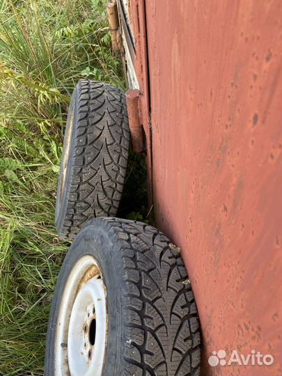 Accelera Epsilon 175/70 R13