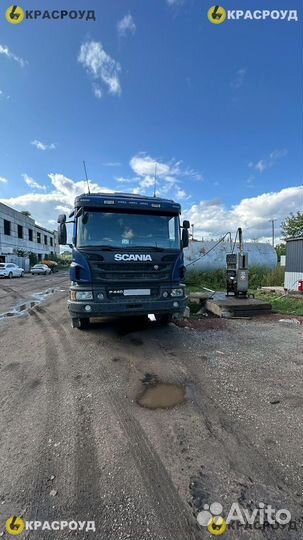 Scania P440, 2018