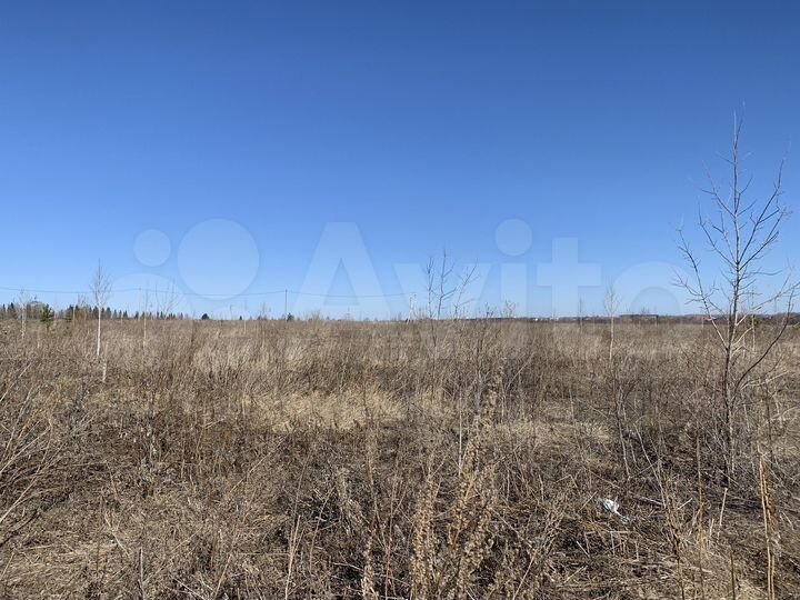 Участок 10 сот. (СНТ, ДНП)